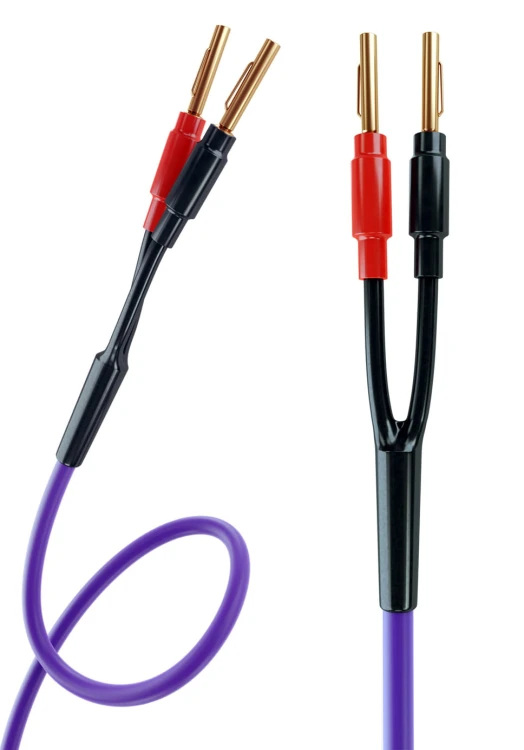 Kable głośnikowe audio MELODIKA MDSC2525