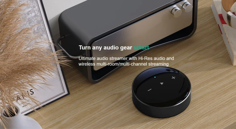 Odtwarzacz sieciowy streamer WIIM MINI Wi-Fi BT