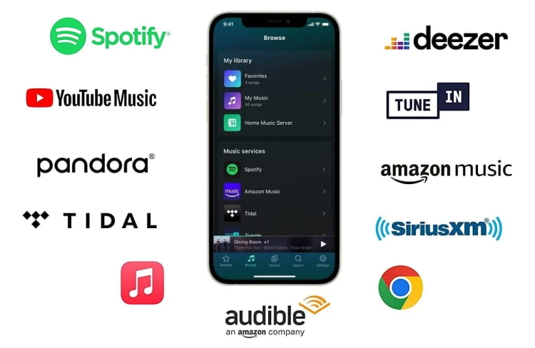 Odtwarzacz sieciowy streamer WiiM PRO Wi-Fi Bluetooth