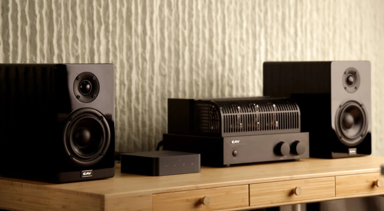 Odtwarzacz sieciowy streamer WiiM PRO PLUS Wi-Fi Bluetooth