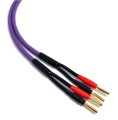 Kable głośnikowe audio MELODIKA MDSC2525