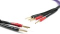 Kabel głośnikowy Melodika MDBW41525 bi-wire