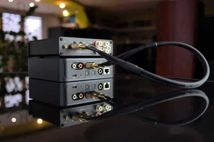 2RCA 2xRCA Cross-Tech R5 GOLD