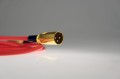 XLR Canon Klotz 0,5m RED