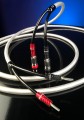 Przewód kabel głośnikowy Chord ClearwayX 2x2.5m