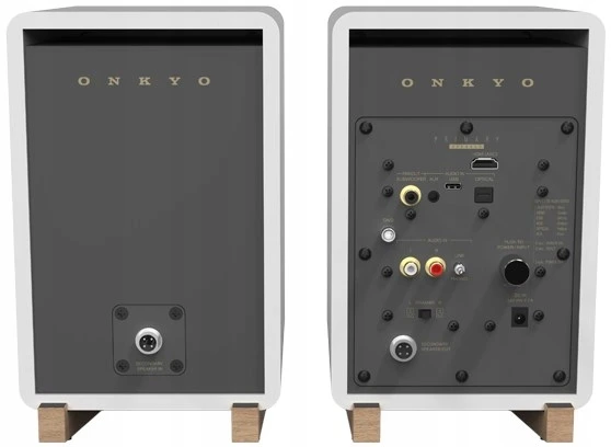 ONKYO-GX-30ARC-CREATOR-AKTYWNE-KOLUMNY-PODSTAWKOWE-Z-BLUETOOTH-5-3-BIALE-Srednica-glosnika-wysokotonowego-19-mm.jpg