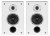 WILSON-RAPTOR-ON-WALL-KOLUMNY-GLOSNIKOWE-NASCIENNE-STEREO-HI-FI-BIALE-PARA-Wymiary-390-x-250-x-120-mm.jpg