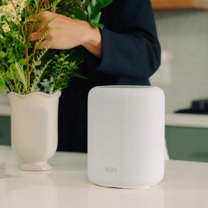 WIIM-SOUND-LITE-GLOSNIK-BEZPRZEWODOWY-SMART-WI-FI-6-BLUETOOTH-5-3-BIALY-Kod-producenta-WIIM-SOUNDLITE-WH.jpg