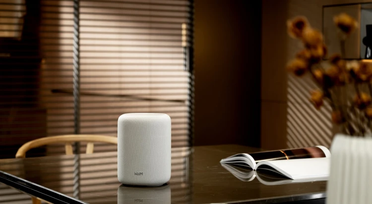 WIIM-SOUND-LITE-GLOSNIK-BEZPRZEWODOWY-WI-FI-MULTIROOM-BLUETOOTH-AI-ROOMFIT-Model-inny.jpg