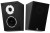 Głośniki dolby atmos Wilson Raptor X kolumny głośnikowe DTS-X czarne - 1 sztuka